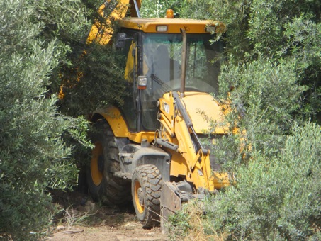 Israele distrugge la rete idrica del villaggio di Bardala, Valle del Giordano