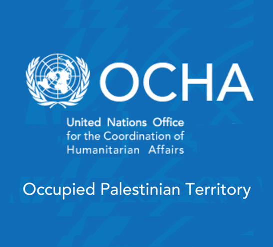 Rapporto OCHA  18-31 dicembre 2018.