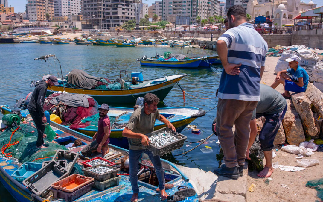 A causa del blocco israeliano a Gaza, una flotta di pescatori fatica a sopravvivere.