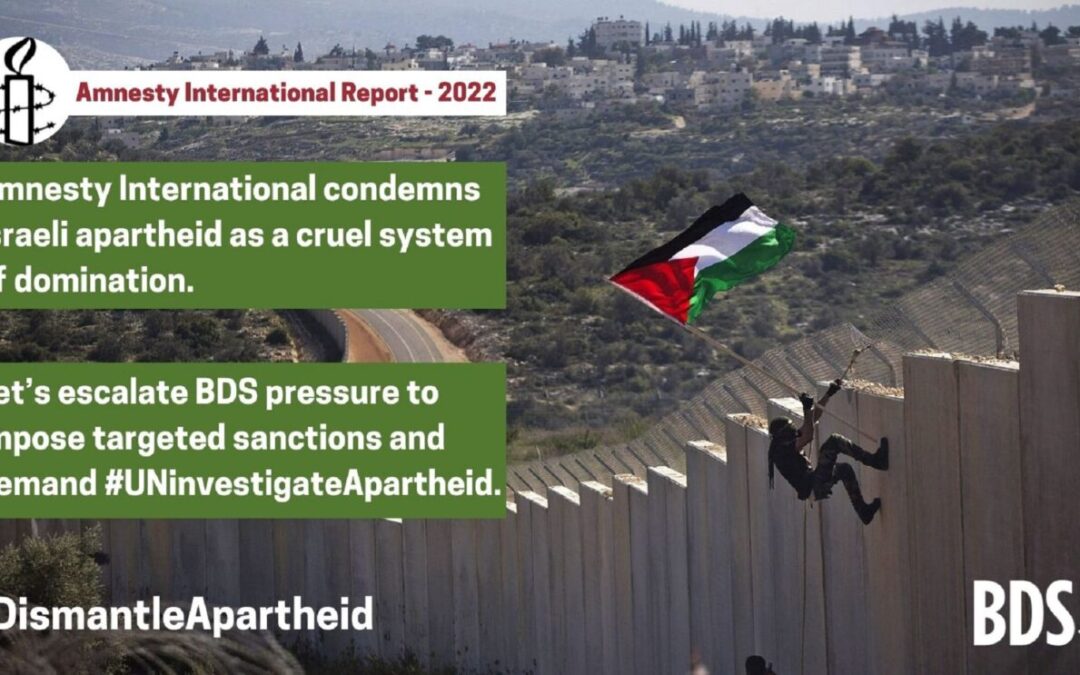 Israele contro Palestina, Amnesty International: “È apartheid”