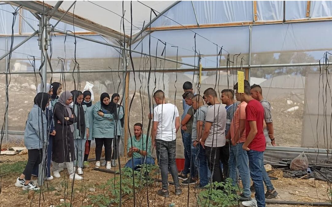 Un nuovo progetto di AssoPacePalestina: una scuola di agroecologia a Burin, Cisgiordania