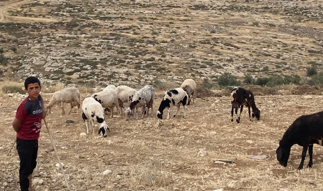 VIDEO. Luisa Morgantini: “No all’espulsione delle comunità palestinesi da Masafer Yatta”