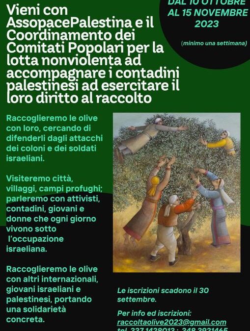 Campagna raccolta olive 2023