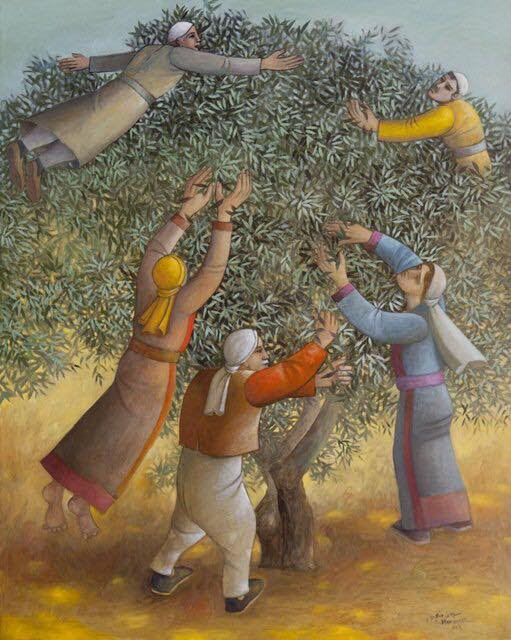 Campagna raccolta delle olive in Palestina