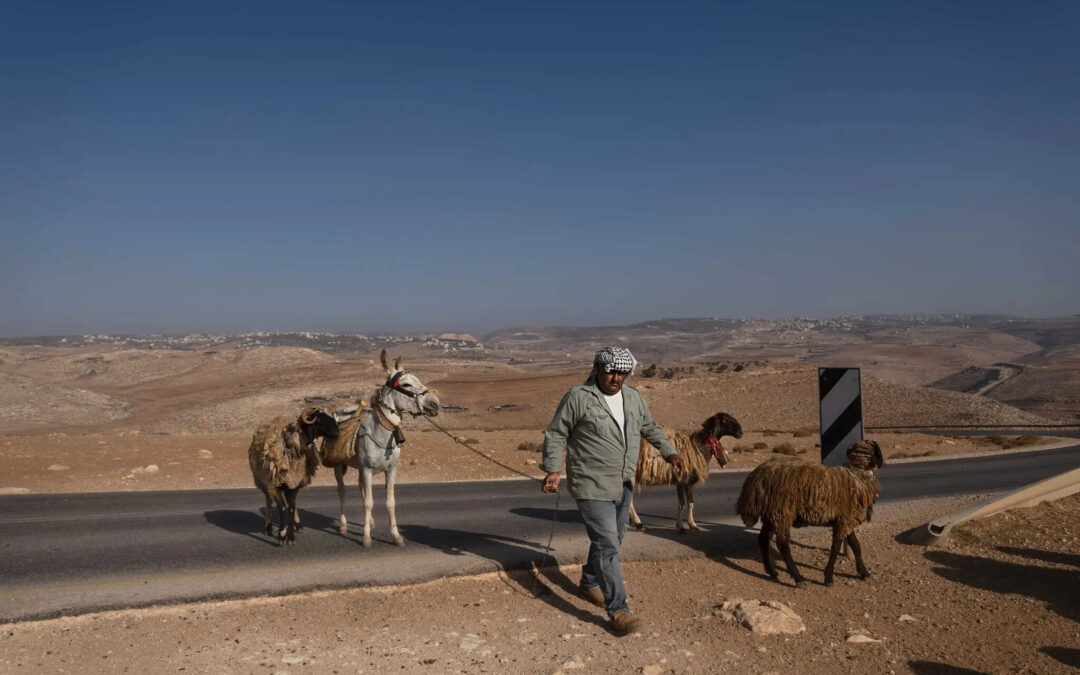Coloni-pastori israeliani si espandono in Cisgiordania, sfollando i palestinesi